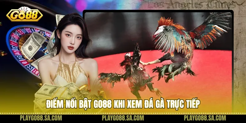 Điểm nổi bật Go88 khi xem đá gà trực tiếp 