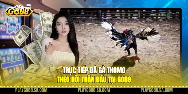Trực Tiếp Đá Gà Thomo